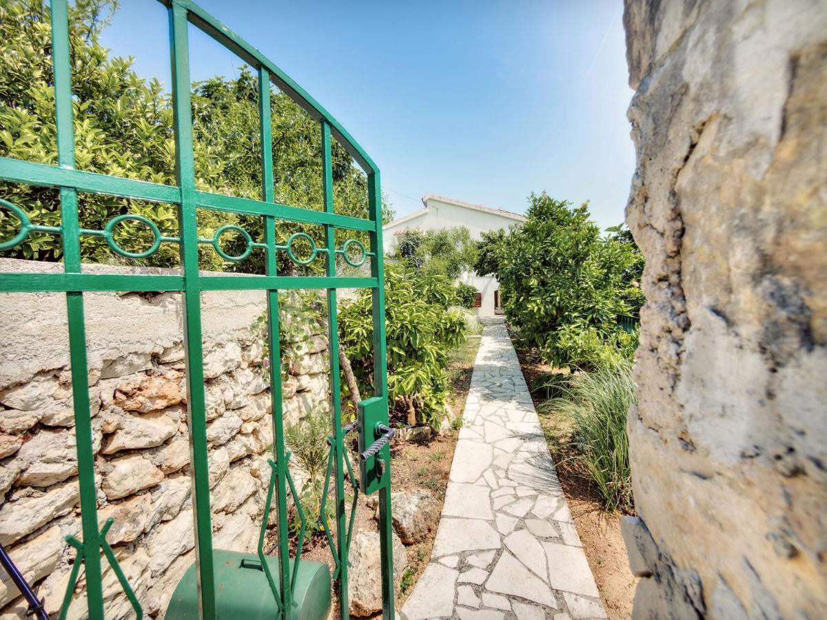Apartmani Ela Prvić Luka المظهر الخارجي الصورة